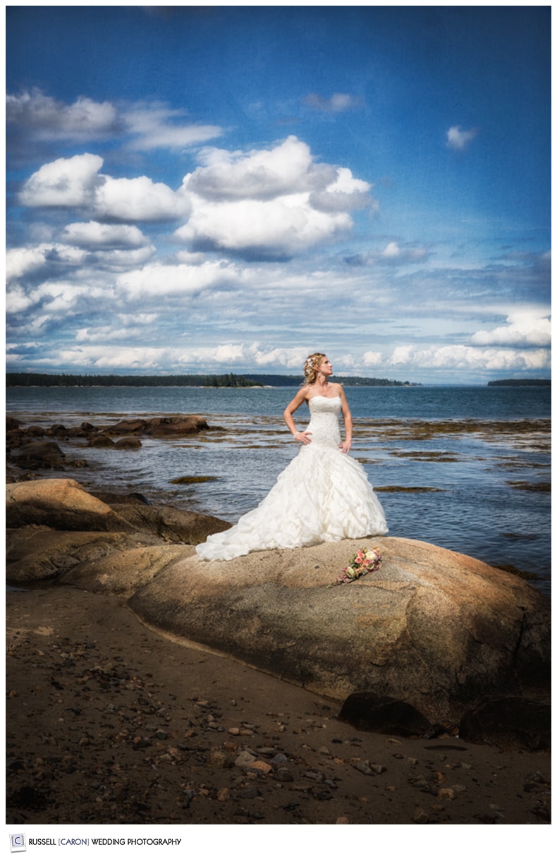 Artistic Maine wedding brides