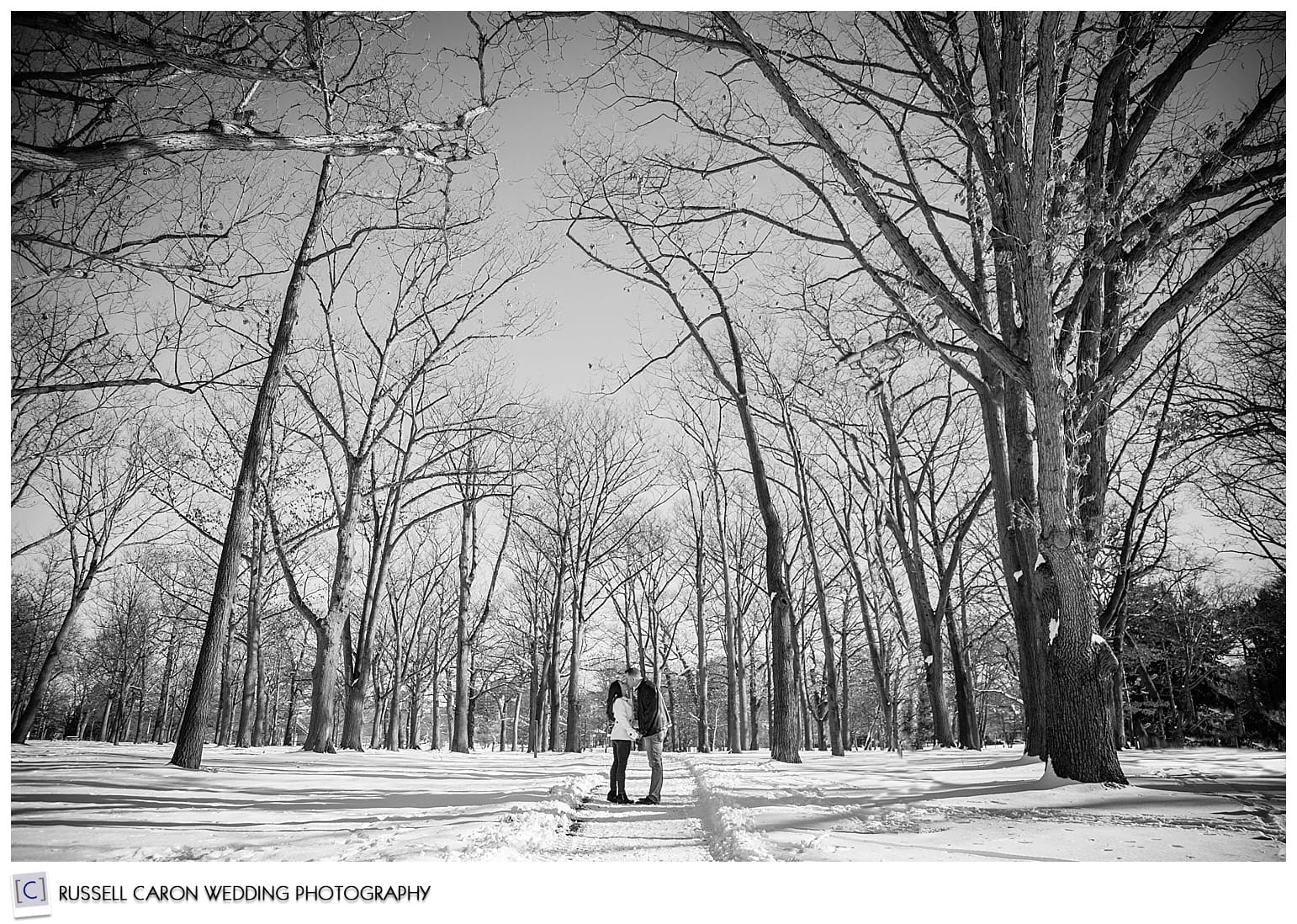 Deering Oaks Park engagement photos