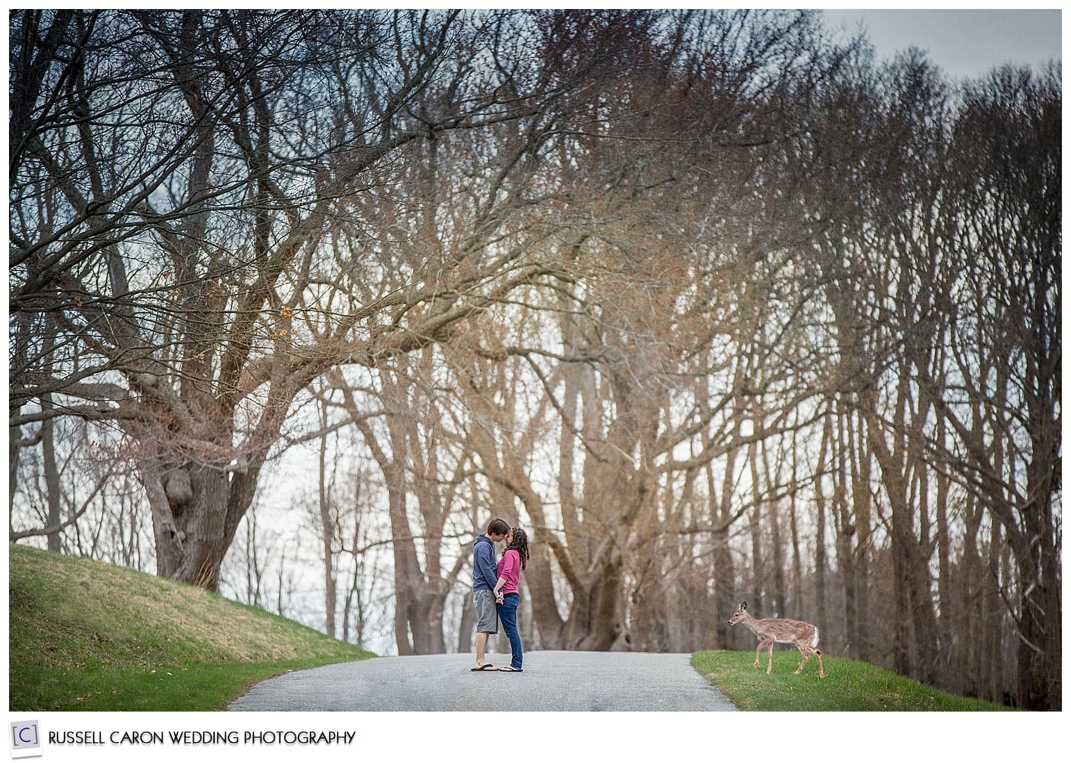 Crane Estate engagement with Emily and Todd