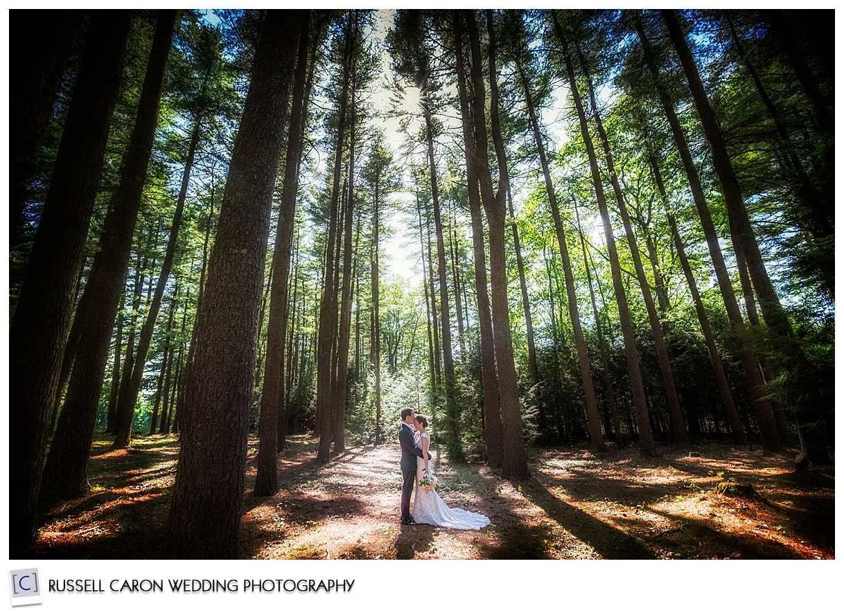 Bride and groom in a forest