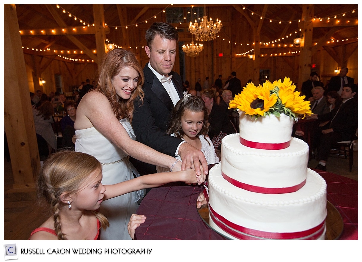 Bride and groom during cake cutting