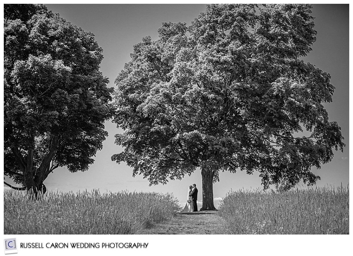 Bride and groom at top of hill amid trees