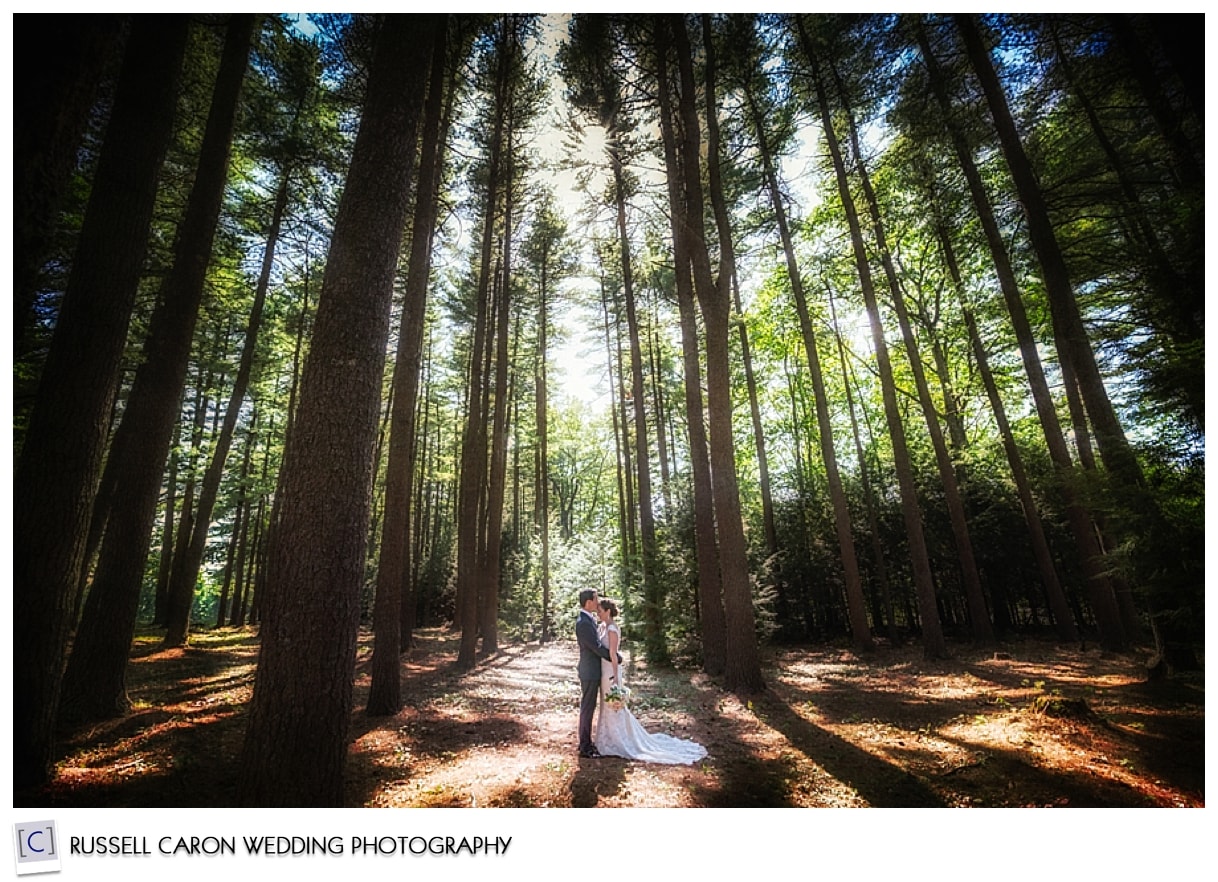 Bride and groom kissing among the trees, #10, 50 best wedding images of 2015