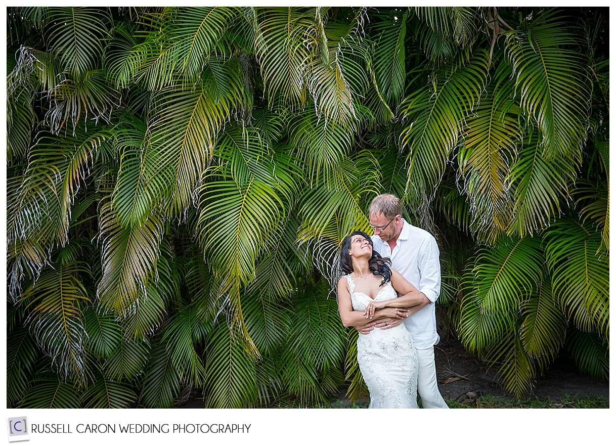 Bride and groom in front of palm trees, Captiva Island, Florida