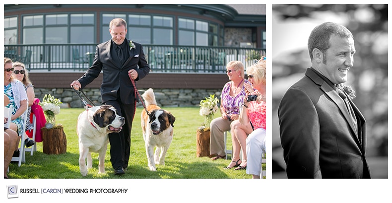 Maine wedding photography with dogs