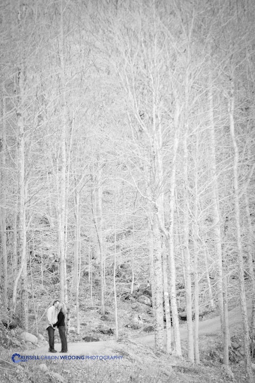 Bethel Maine wedding photographes