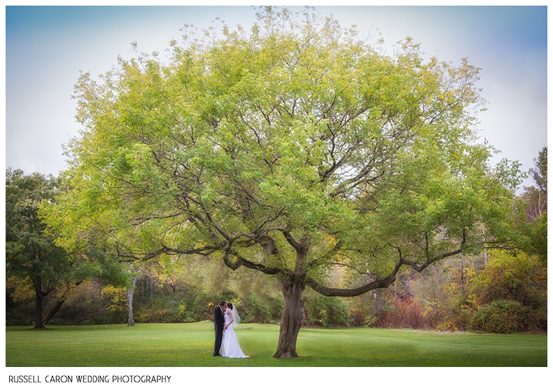 Bride and groom under a tree in Royal River Park, Yarmouth, Maine