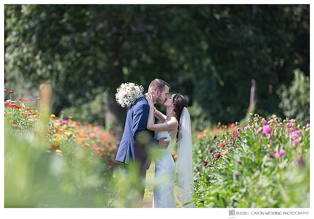 bride and groom kissing among the flowers at Parlee Family Farms. Our Maine Wedding Photography 2017 honorable mentions