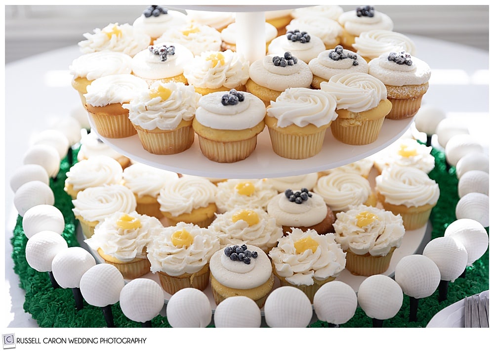 cupcakes with white frosting, and yellow and blue decorations