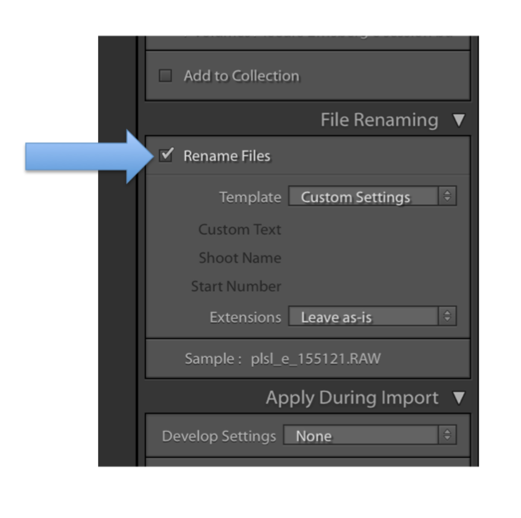 beginning the process of renaming files during lightroom import