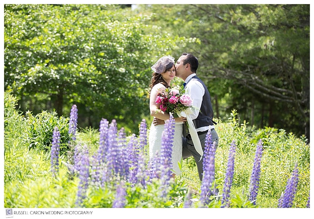 bride-and-groom-kissing-in-field-of-lupine-lincolnville-maine