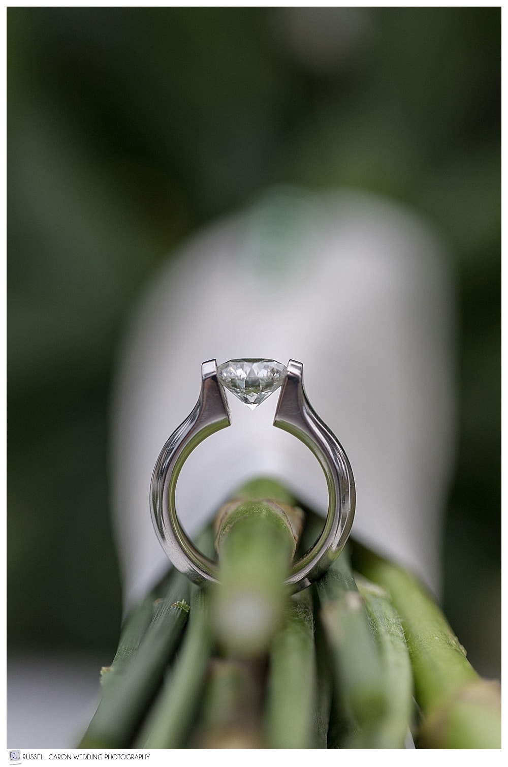 engagement ring detail photo