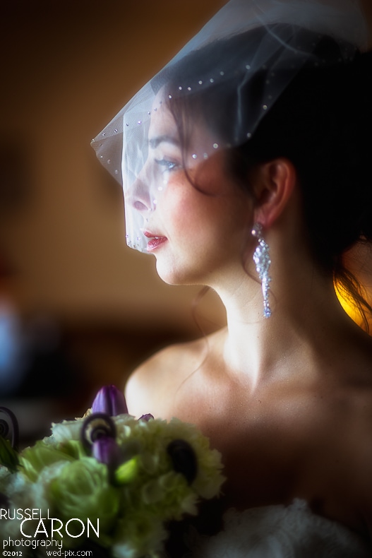 Beautiful bridal portrait