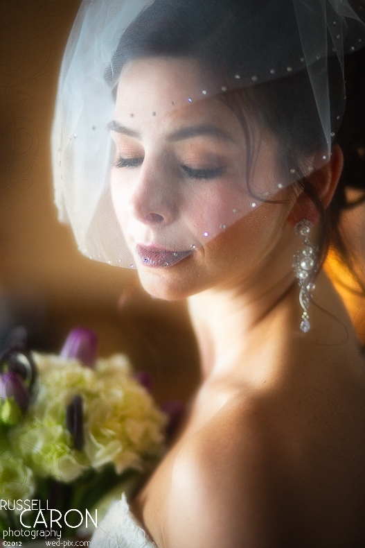 Beautiful bridal portrait