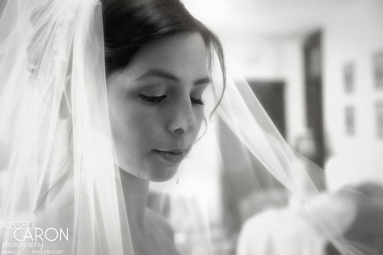 Beautiful bridal portrait