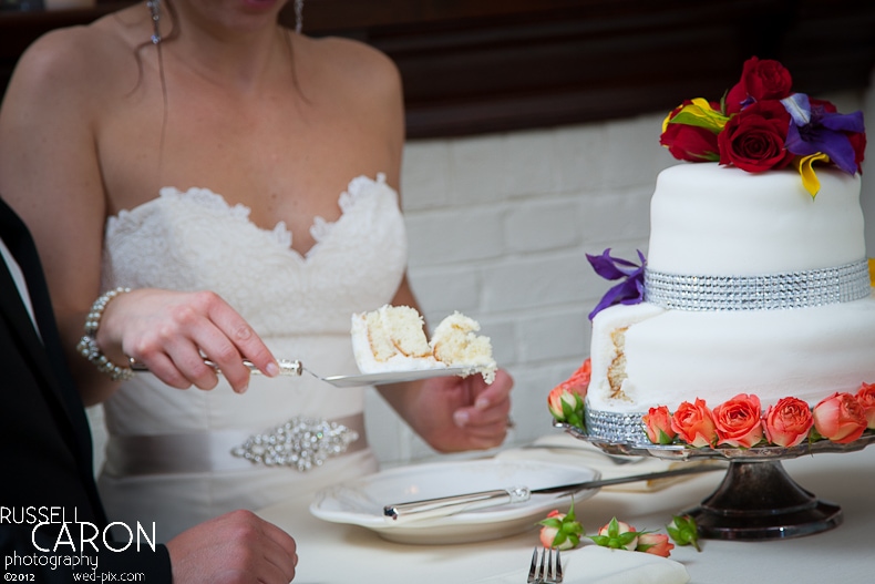 Bride and groom cutting the cake