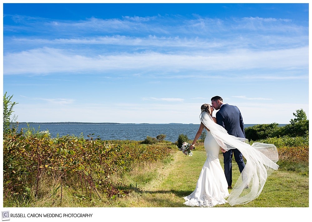 bride and groom kissing in a field, while the bride's veil blows in the wind