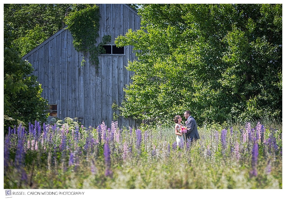 bride-and-groom-in-field-of-lupine
