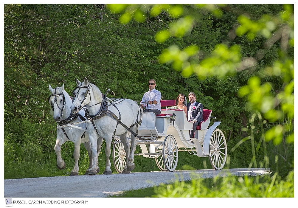 bride-and-her-father-in-horse-drawn-carriage
