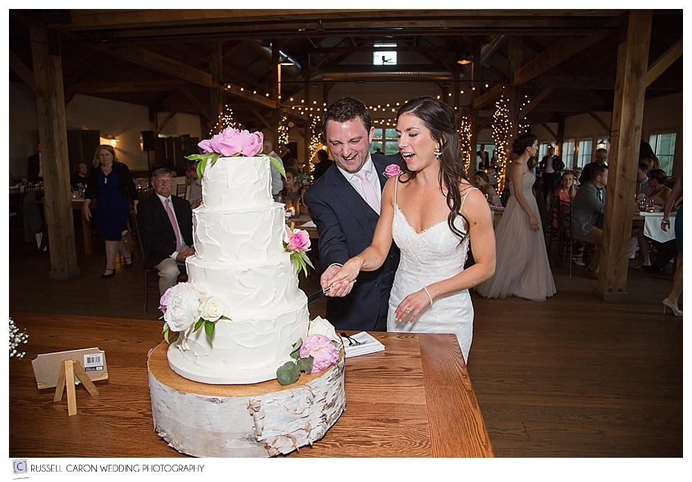 bride-and-groom-cuttin-the-wedding-cake