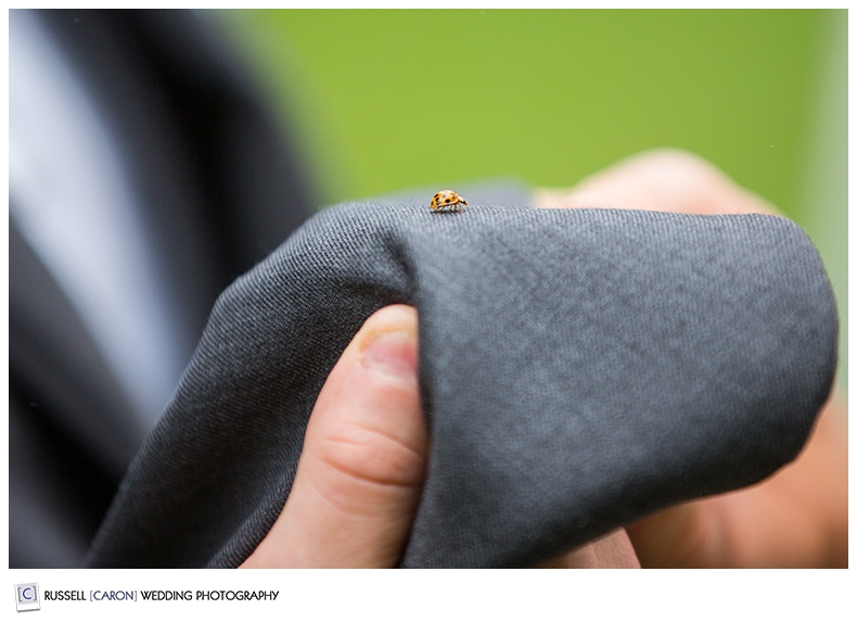 Ladybug on groom's jacket