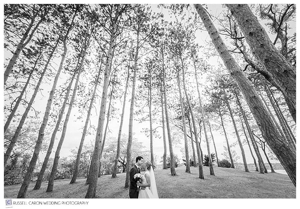 bride and groom amid trees