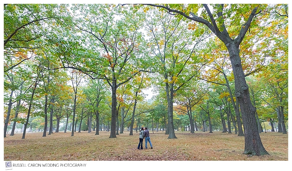 engaged couple in deering oaks park, portland, maine