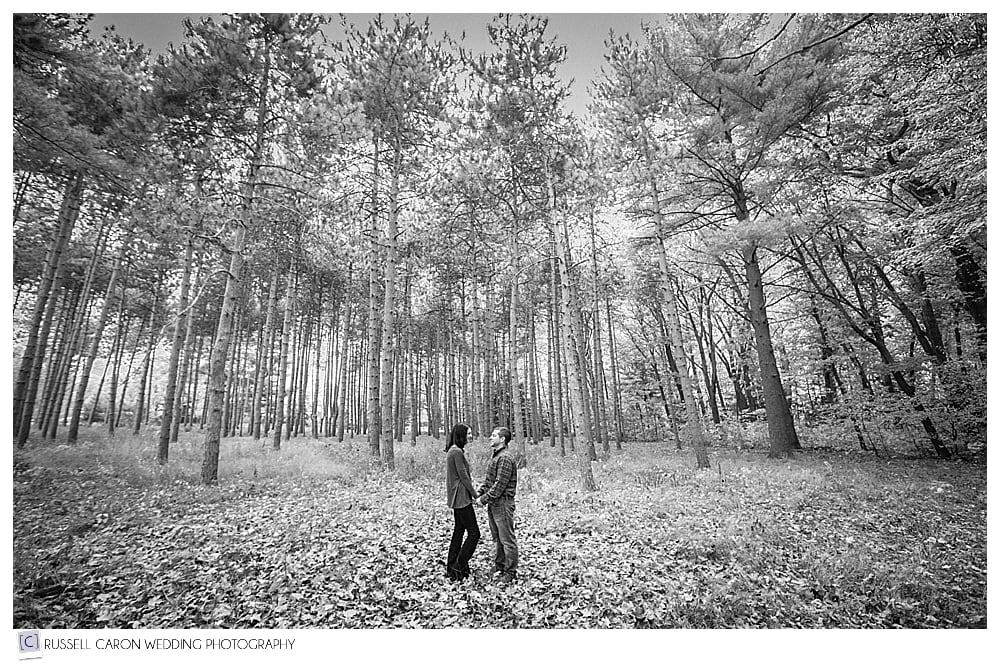 couple in the woods, kissing