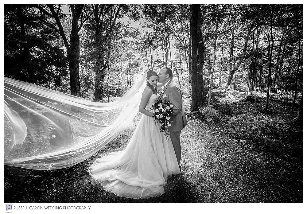 bride and groom in woods
