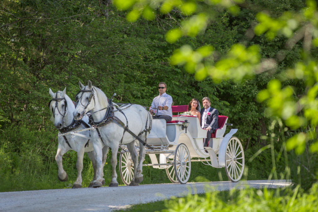 vermont wedding photographers