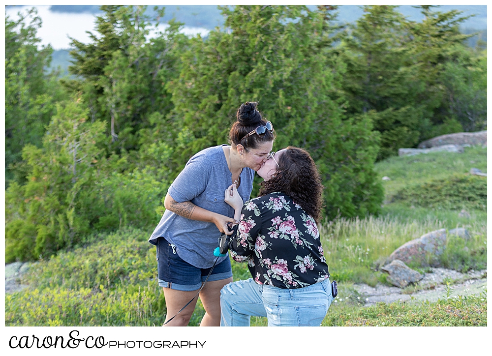 Acadia-national-park-proposal-bar-harbor-maine