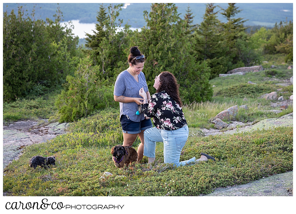 acadia-national-park-proposal-on-Cadillac-Mountain