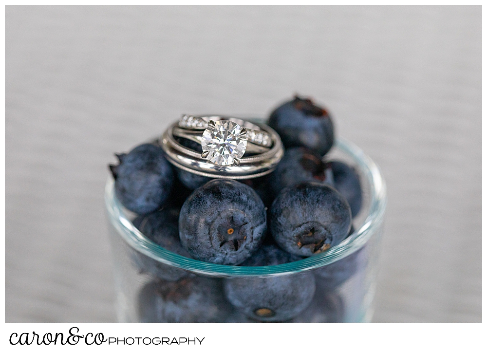 wedding ring detail photo of weddings bands and engagement ring in blueberries