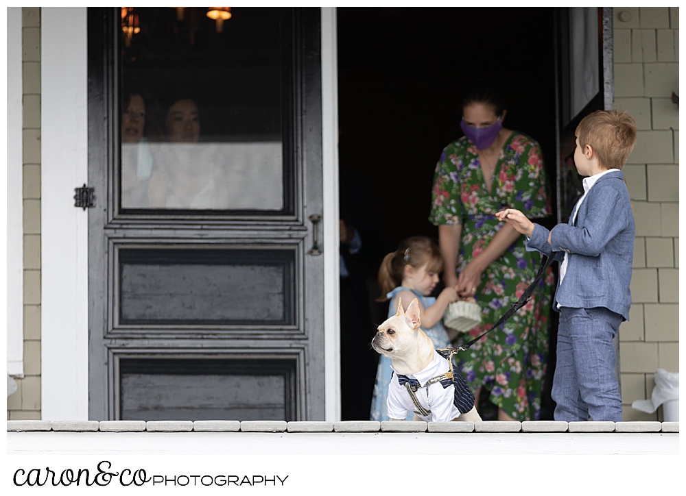 Ring bearer and dog stand in a doorway before the start of a Grey Havens Inn wedding ceremony, Georgetown Maine