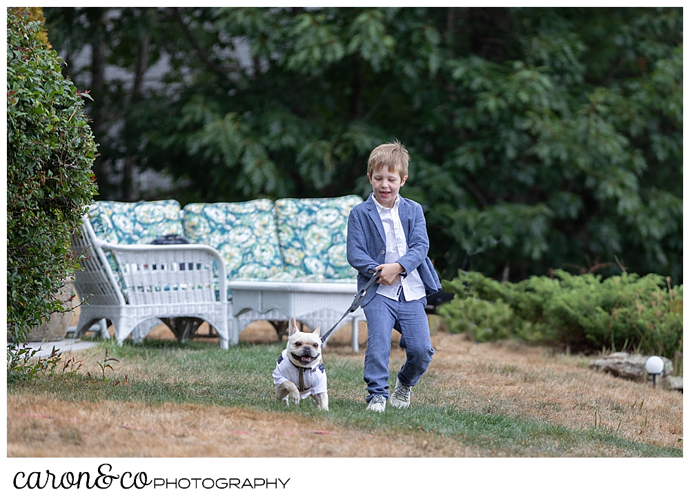 Ring bearer with dog in a tuxedo, approach a Grey Havens Inn wedding ceremony, Georgetown Maine