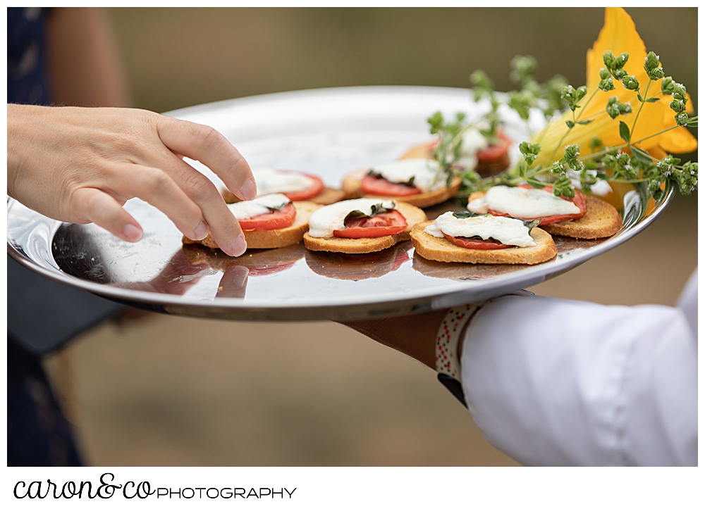 passed hors d'oeuvres at a Grey Havens Inn wedding reception, Georgetown Maine