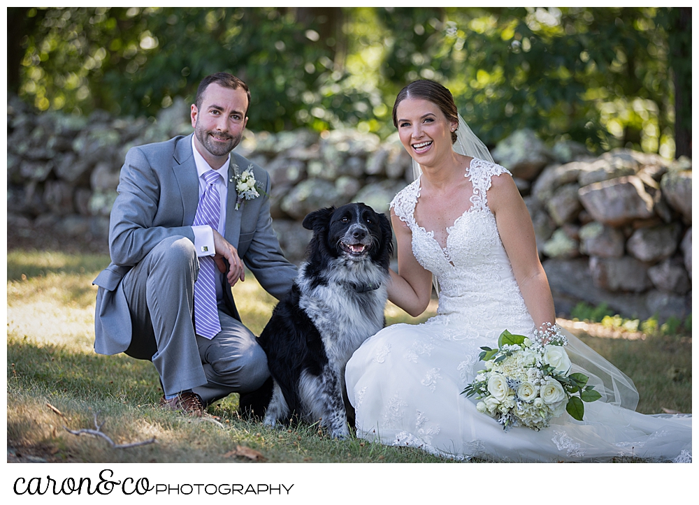 sweet summertime wedding with bride and groom crouching down with their black and white dog