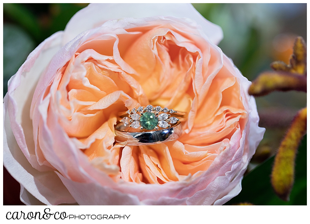 wedding rings in a peach colored ranunculus