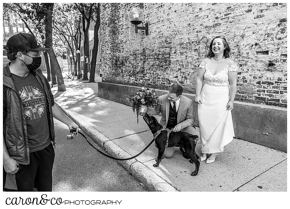 black and white photo of a man walking a dog, and a bride and groom petting the dog