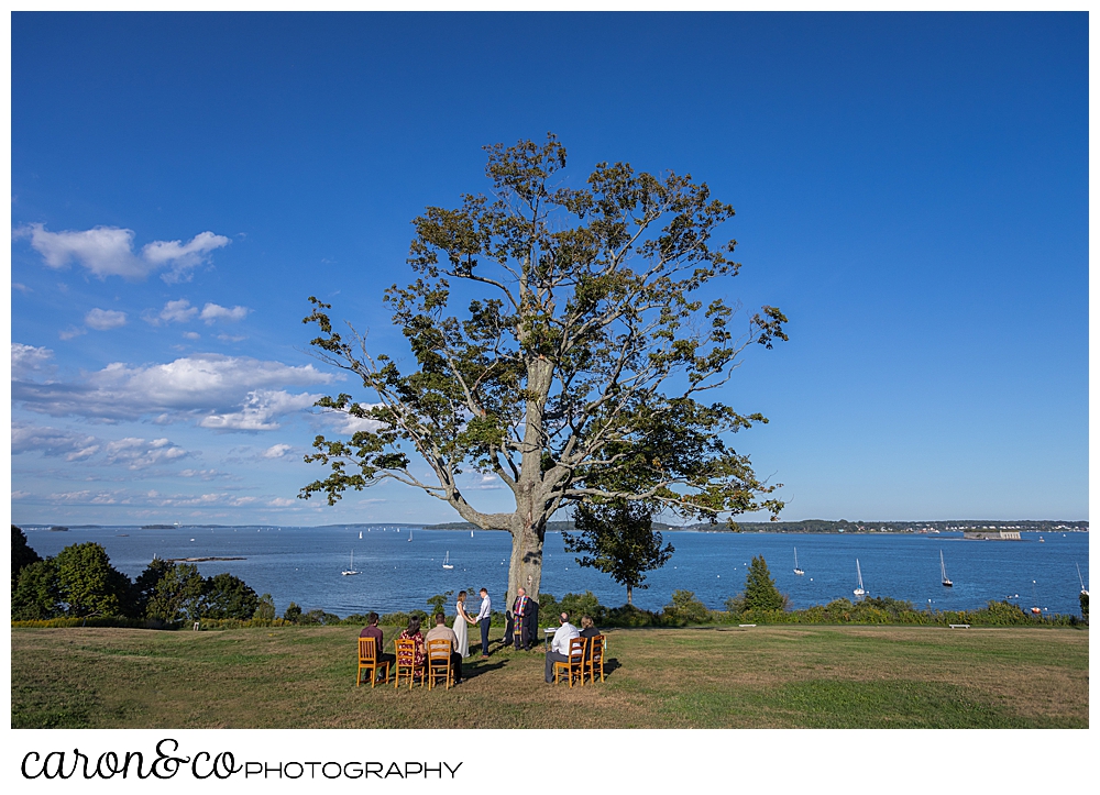 sweet Portland Maine elopement on the Eastern Promenade by the big tree