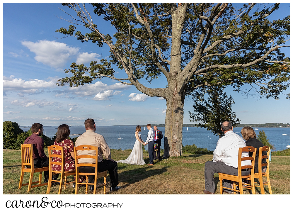 intimate, sweet Portland Maine elopement on the Eastern Promenade near the big tree