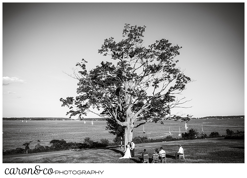 black and white photo of a sweet Portland Maine elopement ceremony