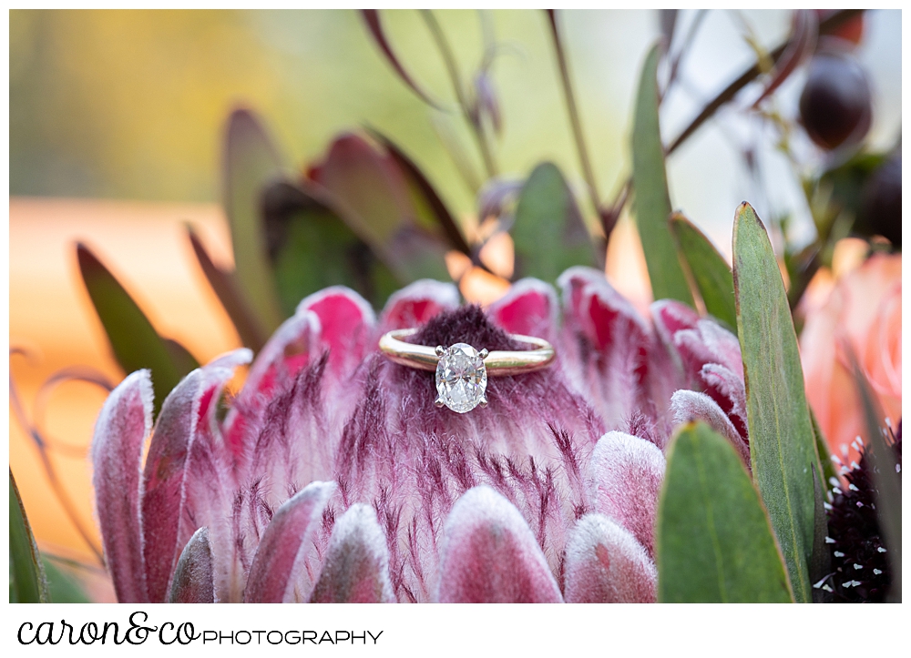 engagement ring detail photo of a diamond ring in a pink flower