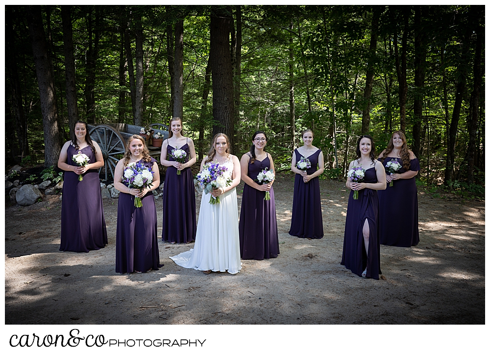 a bride in white, standing with her bridesmaids in dark purple, standing in front of dark trees