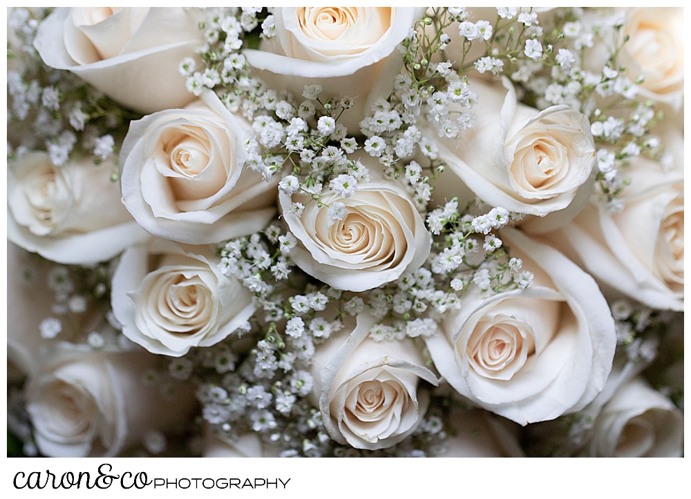 cream rose bridal bouquet with babies breath