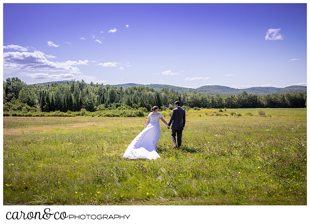 a bride and groom, holding hands, are walking in a field towards the mountains in the background