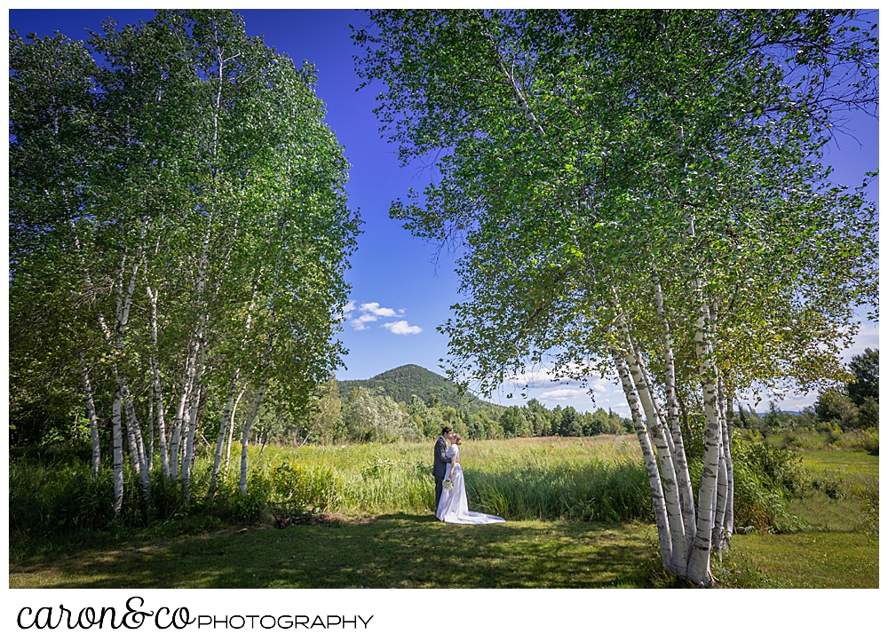 a bride and groom kiss in a stand of birch trees, with a mountain in the background