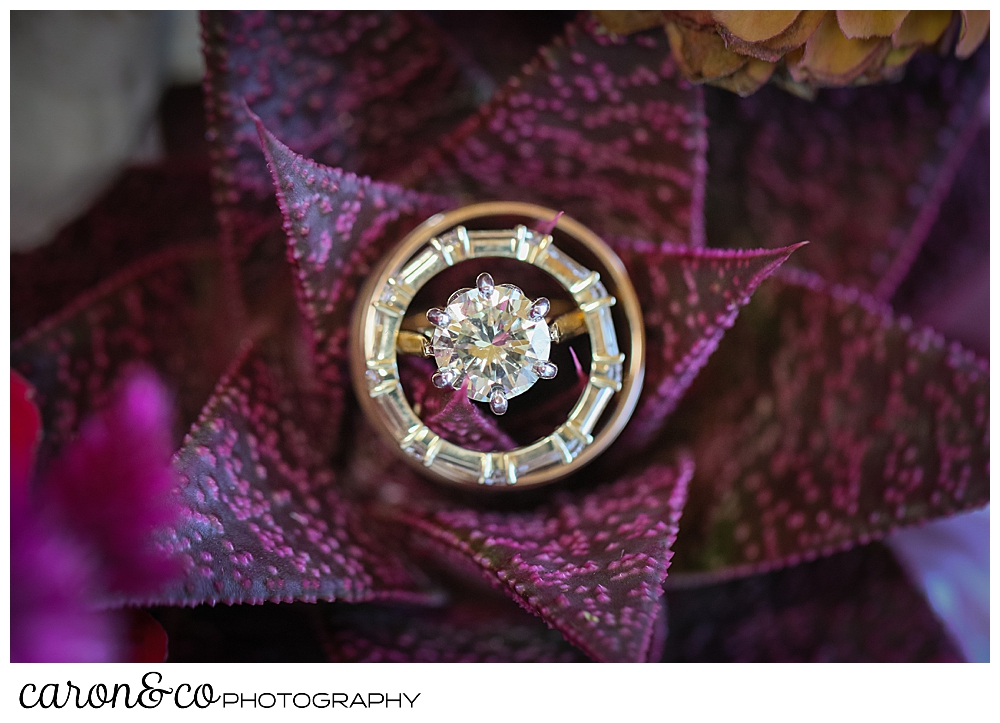 wedding ring detail shot of wedding bands and diamond engagement ring on a red succulent