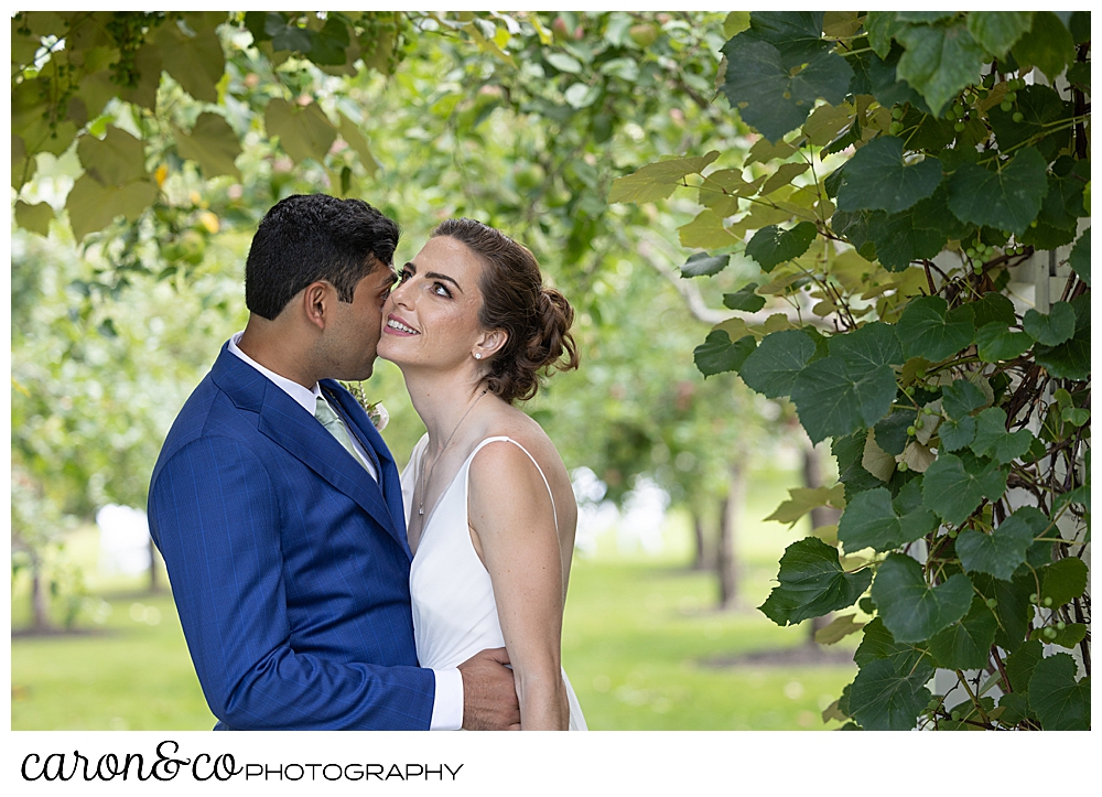 a groom gives his bride butterfly kisses on her cheek