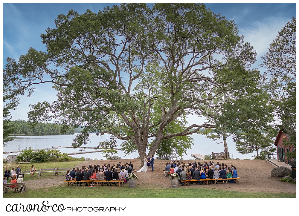 Kingsley Pines Maine wedding under the ceremonial tree